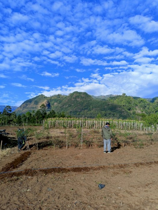 Tanah Gunung Bromo Probolinggo Malang