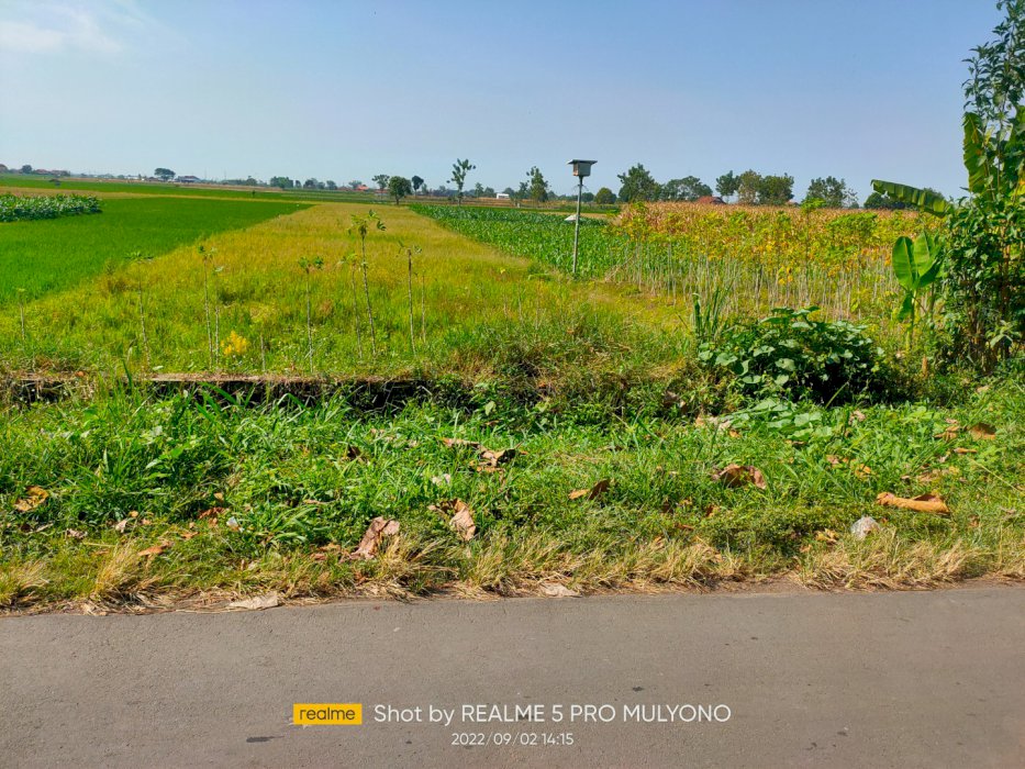 Tanah murah pinggir jalan raya dekat pemukiman warga padat penduduk
