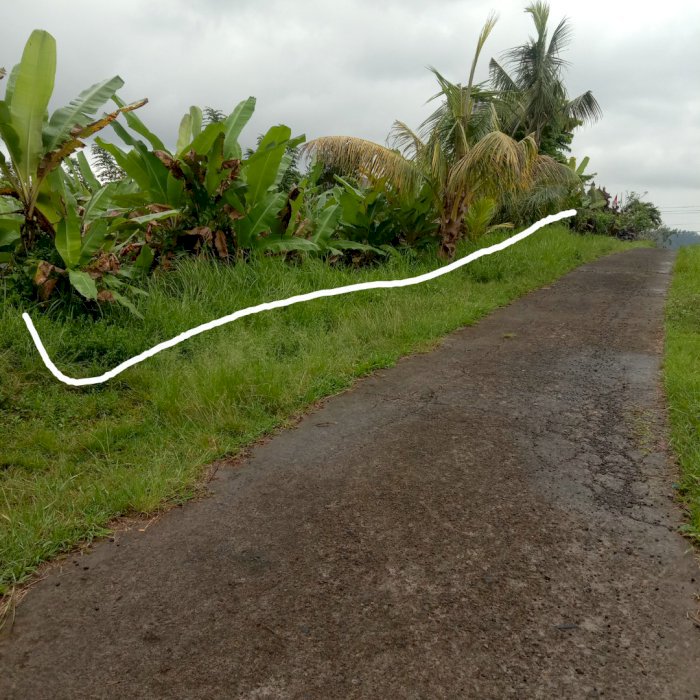 Di jual tanah murah meriah