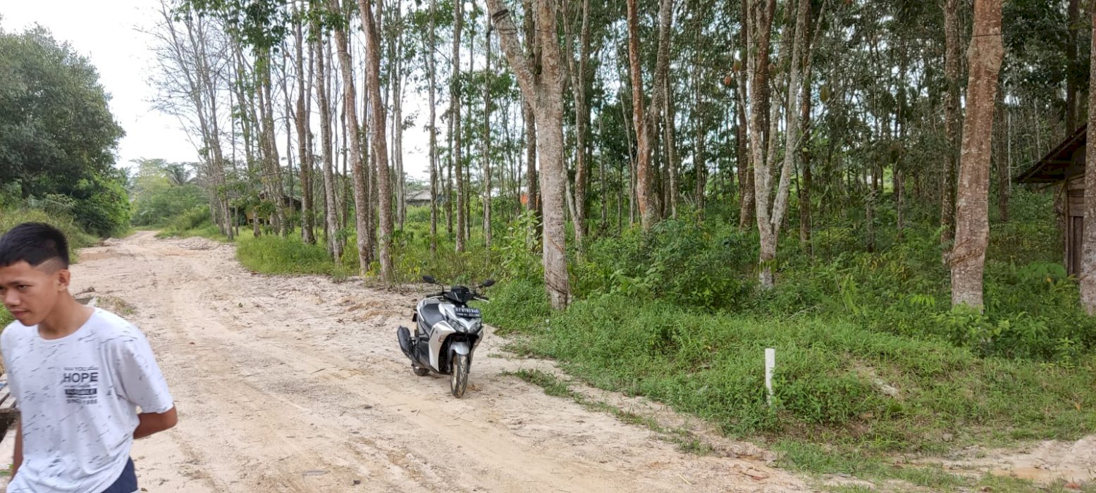 Jual Tanah Daerah Palaran