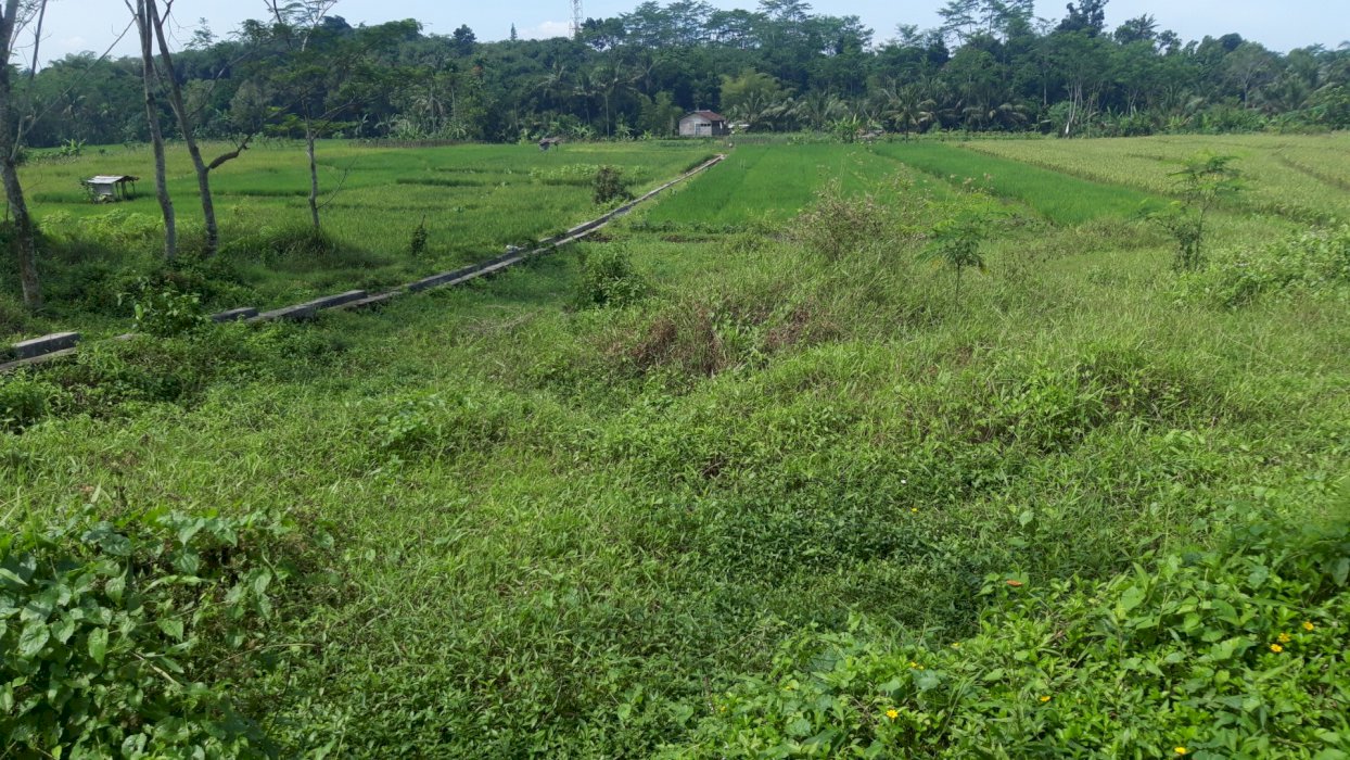 Dijual tanah kosong 65 ubin lokasi Purbalingga. Hub 085691485167