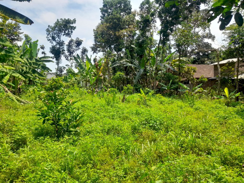 TANAH SERATUSRIBUAN SEMARANG WISATA DEKAT PUSAT KOTA SEMARANG ADA GOLF