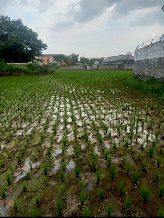 Tanah Daerah Cisaranten