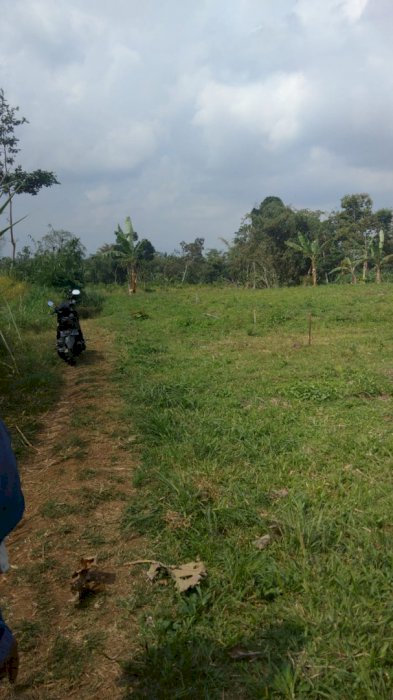 Tanah Kavling Super Murah Strategis