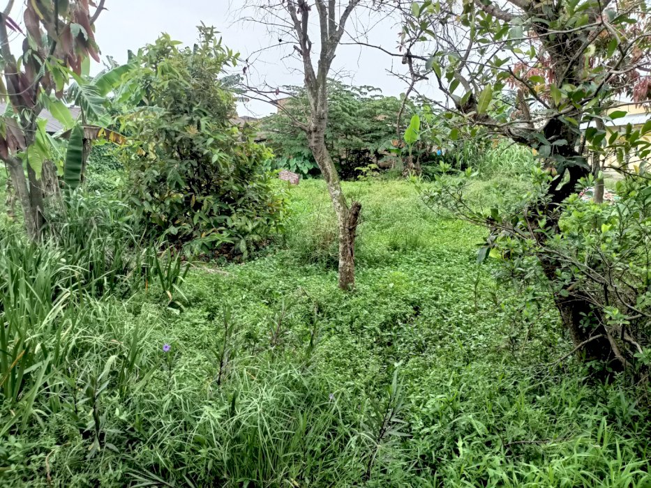 Dijual Tanah Tanpa Perantara