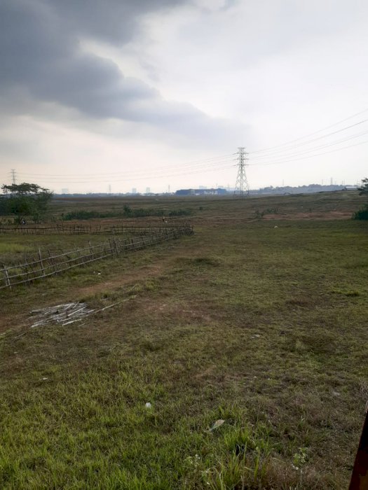 Tanah darat ,jona hijau