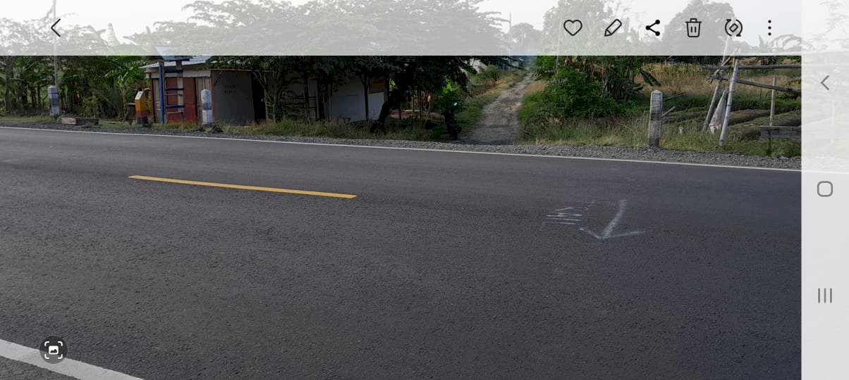 Tabah kapling dekat jaln raya