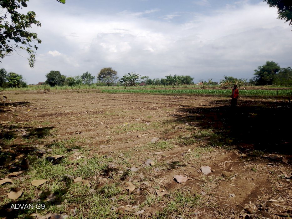 Jual tanah di Mojokerto