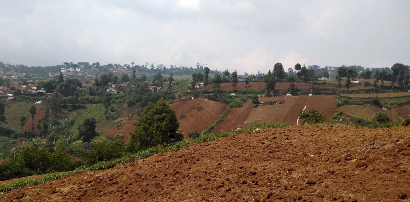 JUAL CEPAT!!! TANAH (ISTIMEWA) KAWASAN BANDUNG UTARA