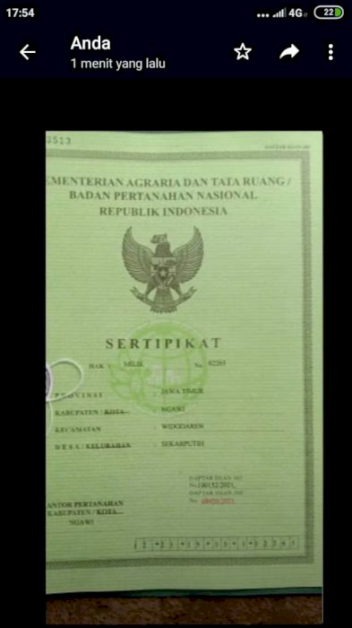 Bu dijual tanah mangku jalan desa