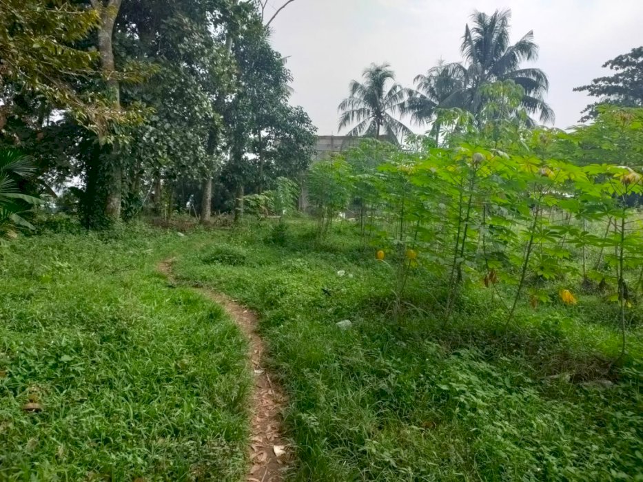 Dijual segera tanah zona perumahan dirumpin Bogor