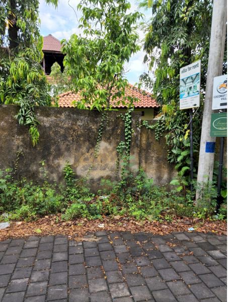 Dijual Tanah Are Di Berawa Canggu Idrumah