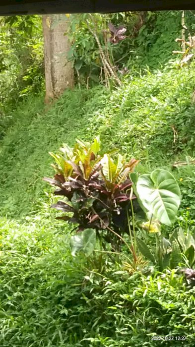 Jual tanah kosong lokasi cidokom cisarua bogor jalur alternatip