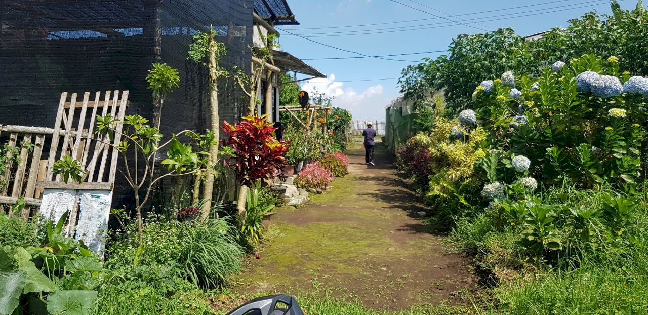 Tanah Murah Batu Dijual Lingkungan Padat Penduduk Junggo