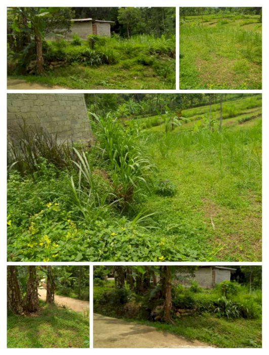 Dijual tanah bersertifikat