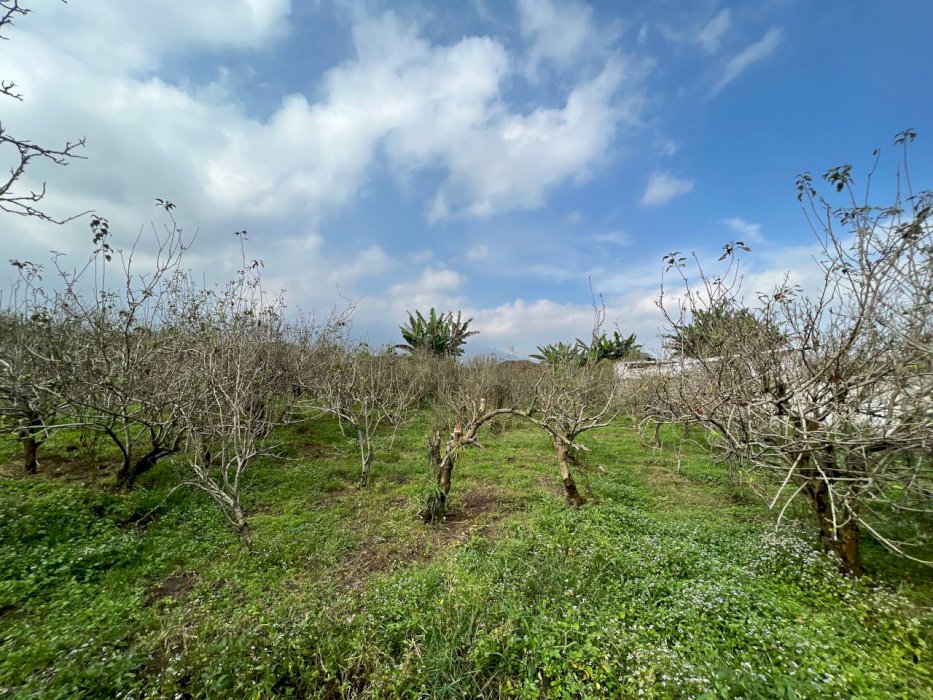 Tanah Dijual Murah Cocok Buat Bangun Villa Kebun di Kota Batu