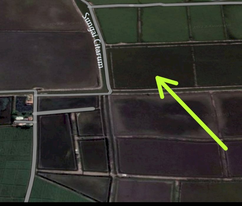 Jual tambak udang/ikan