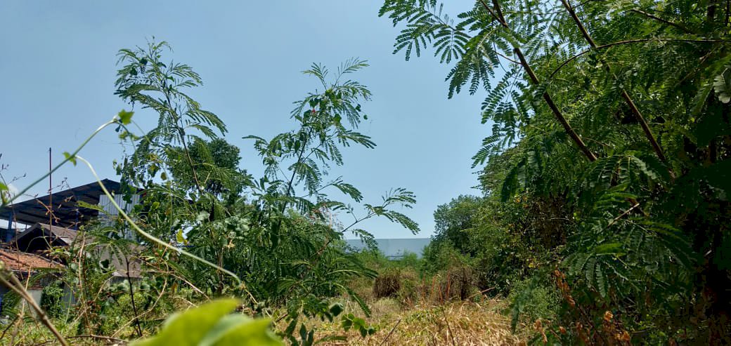 Tanah jl Gajahmada no 25 Sawotratap Waru Sda