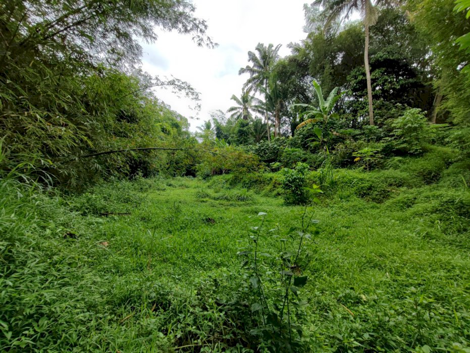 DIJUAL CEPAT TANAH LETTER C 4382m2