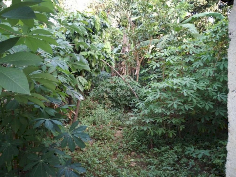 Dijual / Disewakan CEPAT, BU Tanah kosong Luas : 188 M2