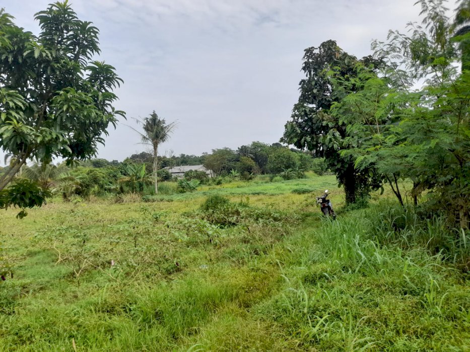 Jual cepat lahan dan tanah