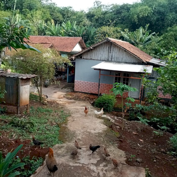 Jual tanah dan rumah