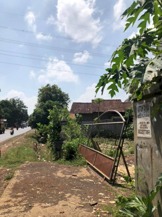 Jual Tanah Pinggir Jalan Raya Utama Jepara-bangsri