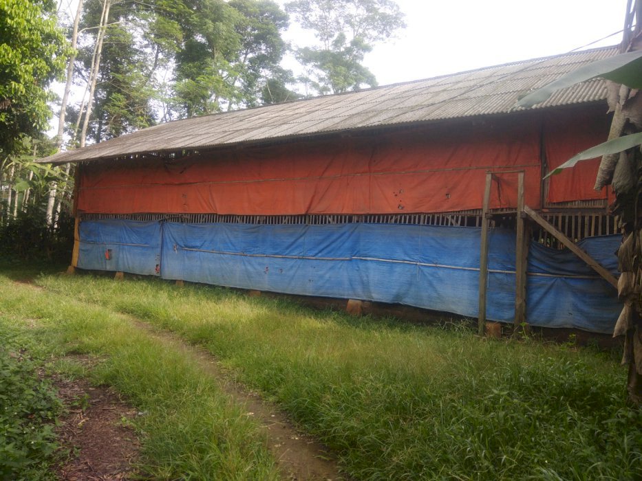 Dijual kandang aym broiler
