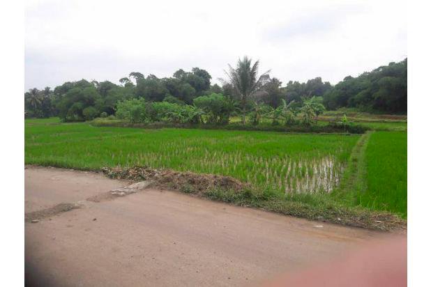 DIJUAL TANAH SAWAH AKTIF