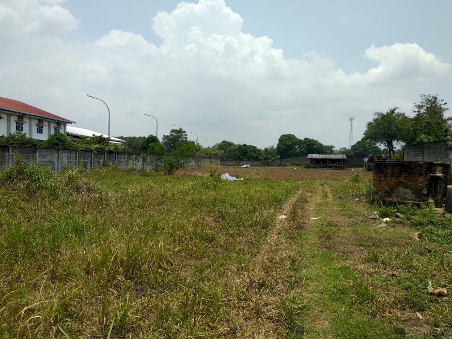 Di jual tanah buat perumahan