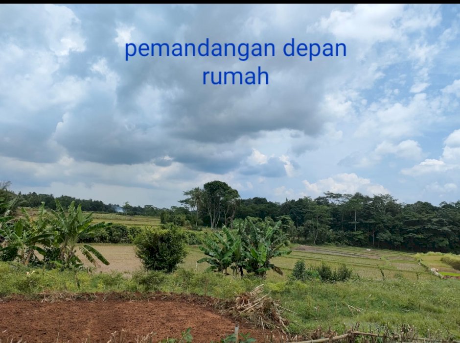 Di jual rumah dan lahan belakang kantor kec. Petir Deket pasar petir