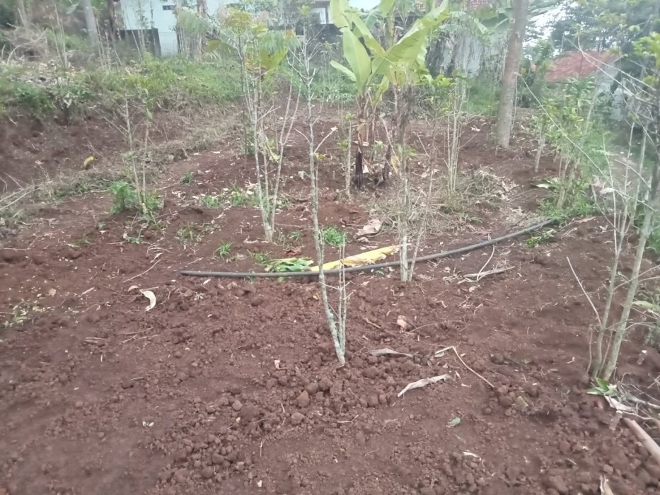 Jual tanah pinggir jalan di cimaung banjaran kab bandung