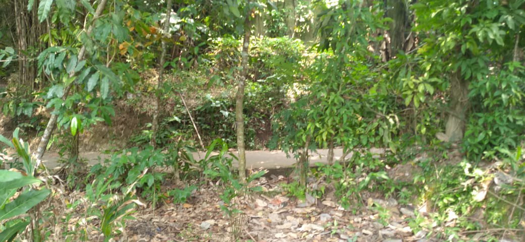 Tanah Strategis di Serang