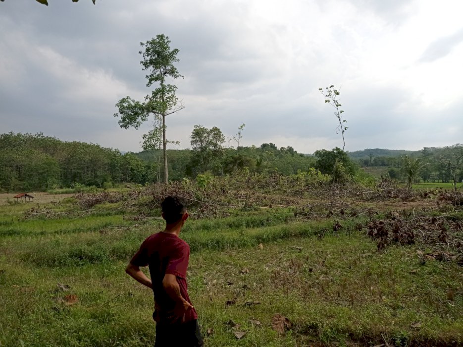 Jual tnah kebun, cocok untuk yang ingin berinvestasi