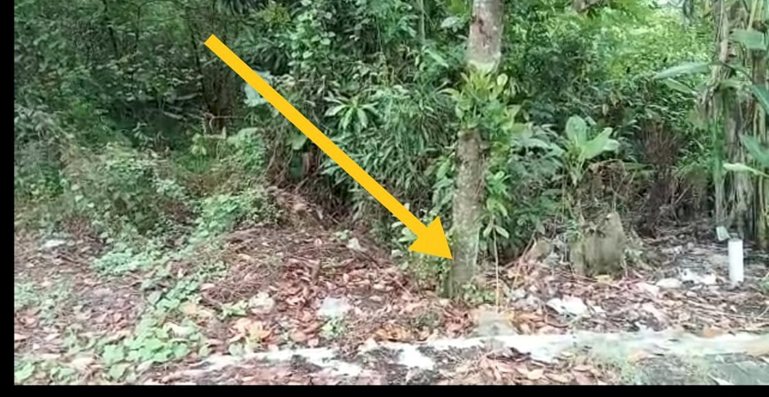 Tanah Pekarangan Lokasi desa Simokalang Wonoayu - Sidoarjo