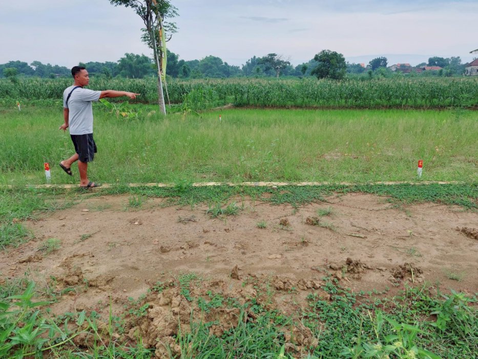 Jual Tanah Kedamean Gresik