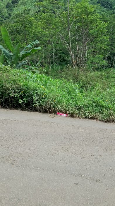 Di jual tanah viu sangat indah.cocok buat  vila apah ataw buat usaha