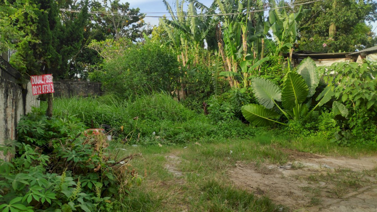 Jual cepat dan sangat Butuh, tanah saya pribadi !!!!