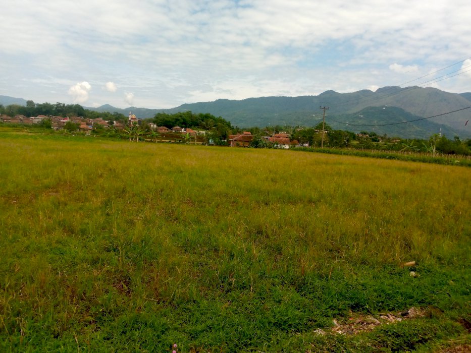 Dijual tanah seluas 370 tumbak/5.180 m.