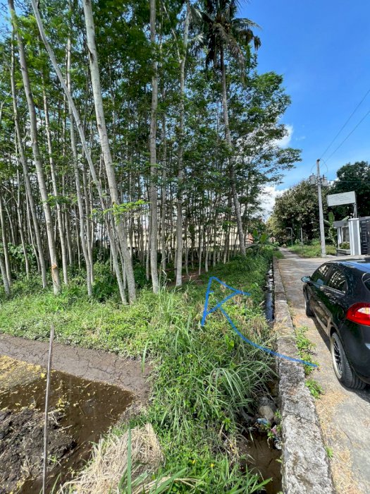 Dijual Tanah Di Belakang Kampus UII Yogyakarta (Nempel tembok UII)