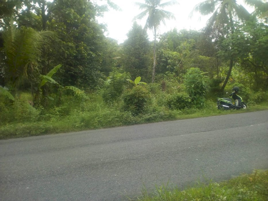 Tanah Bagus Untuk GUdang  Bangunjiwo  Bantul Yogyakarta