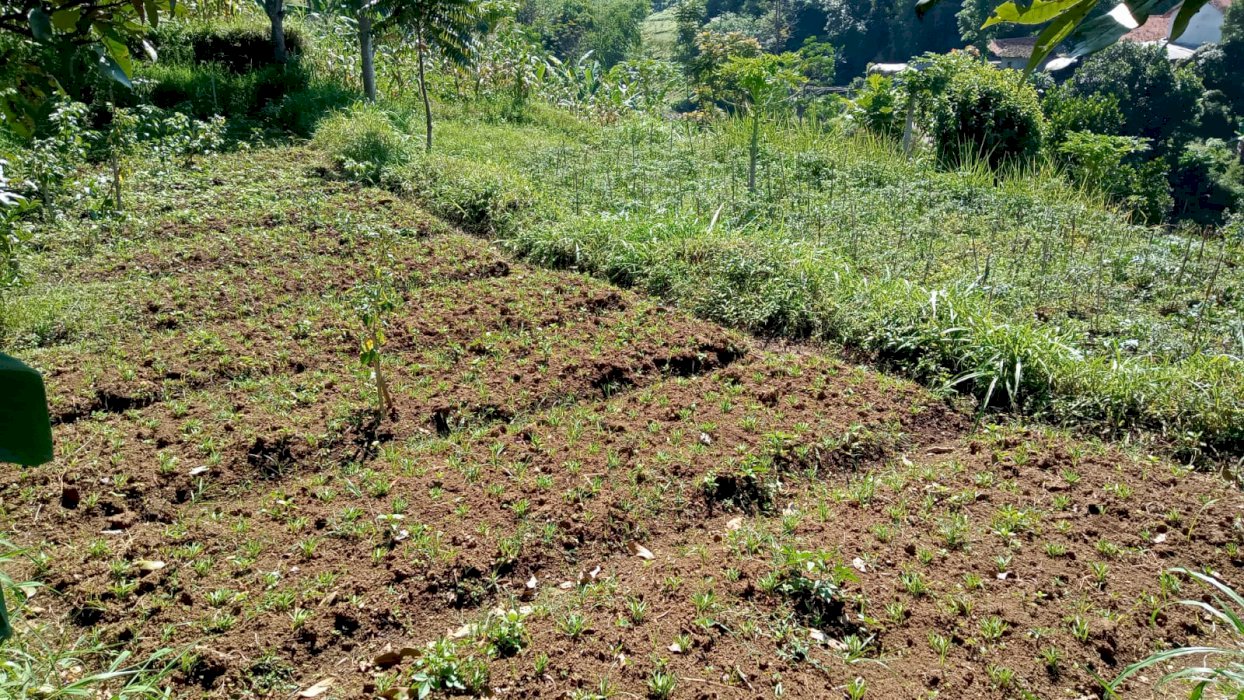 Bismillah di jual tanah murah lokasi kolmas cimahi atas bandung