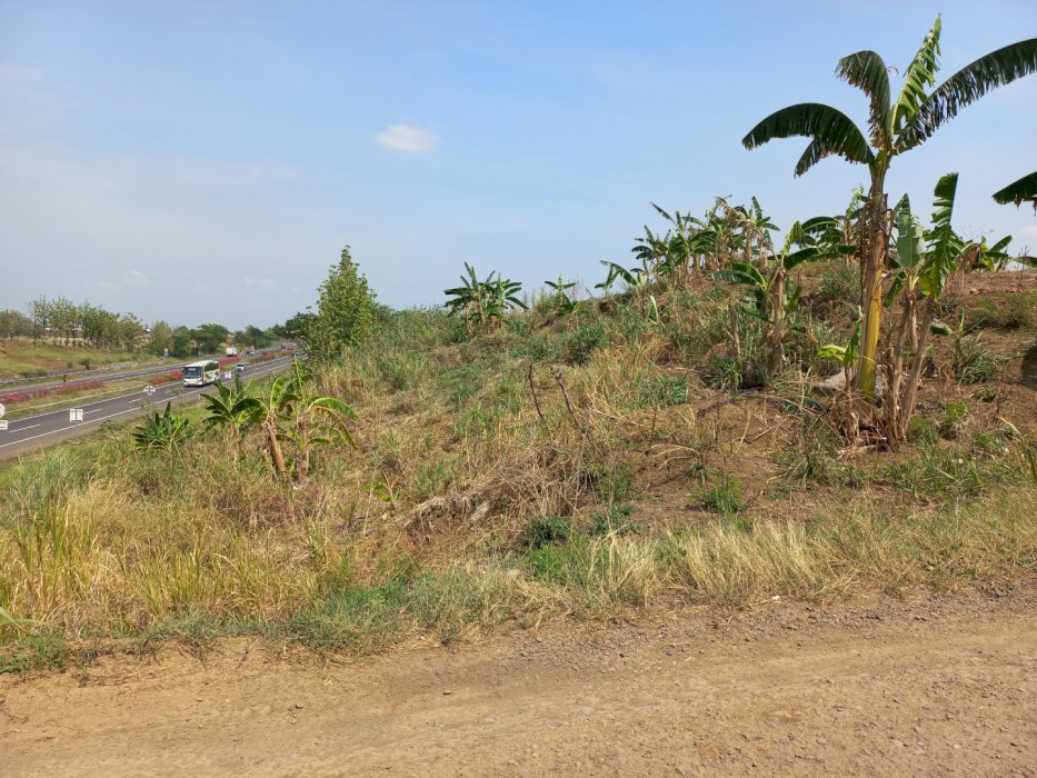 Tanah indramayu,cikamurang