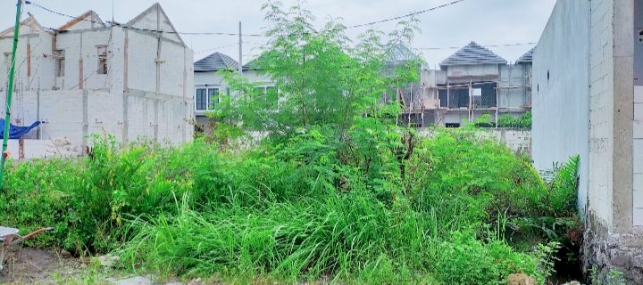 DIJUAL TANAH DAERAH TLOGOMULYO PEDURUNGAN SEMARANG. LUAS TANAH 250M