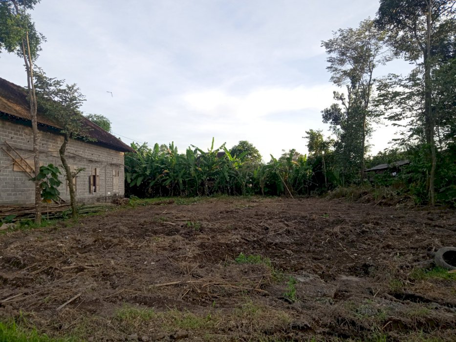 Dijual cepat & murah tanah pekarangan