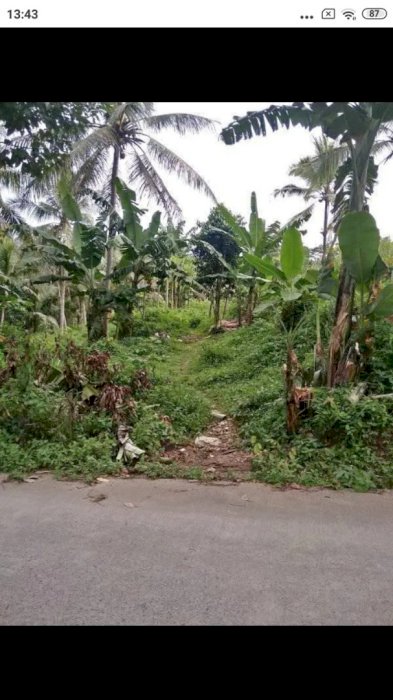 Tanah pingir jalan langsung masuk