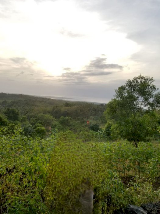 Kavling di Bali cocok untuk bisnis