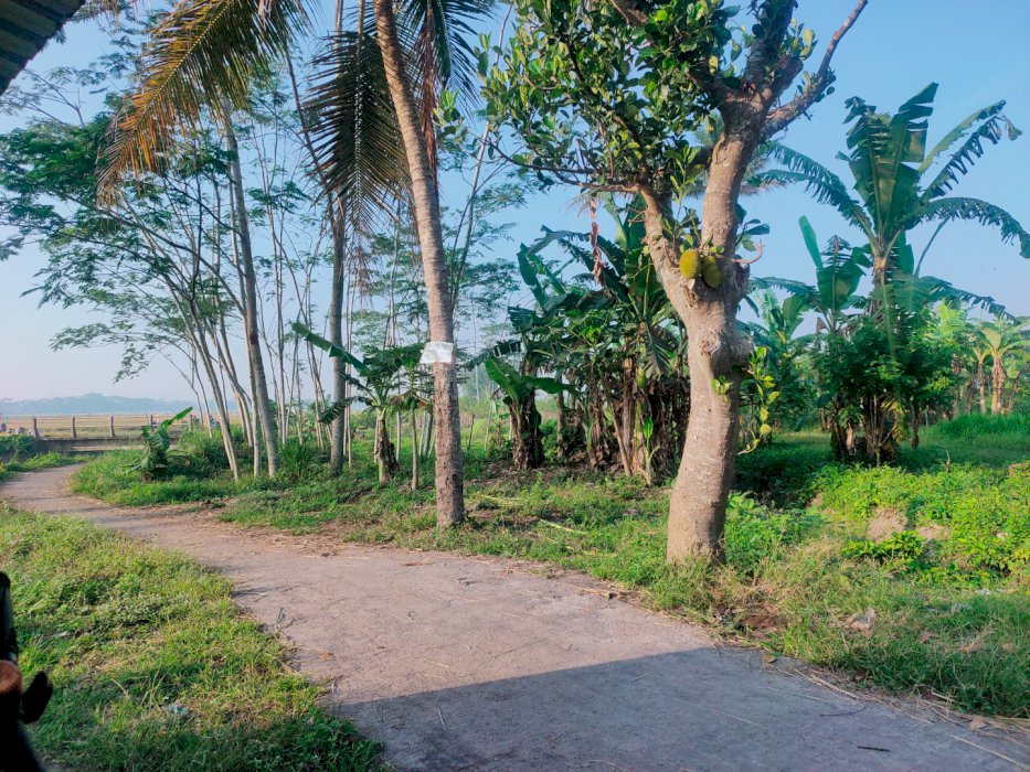 JUAL TANAH CEPAT BUTUH UANG SEGERA