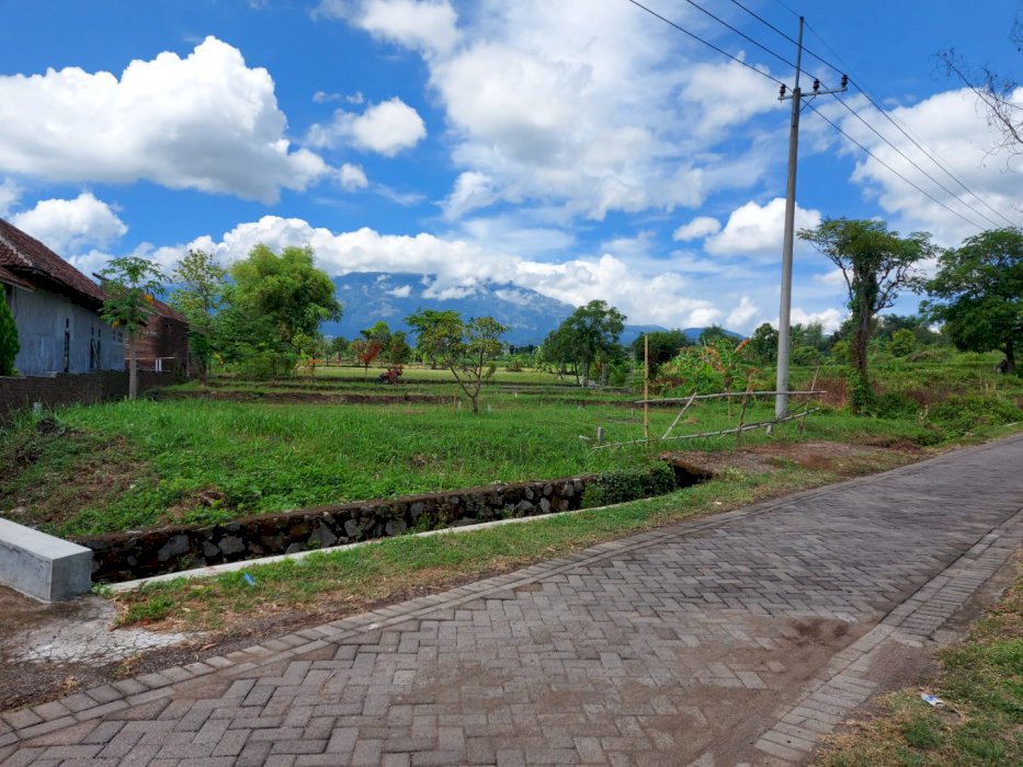 Tanah Siap Bangun Di Desa Sumbersuko