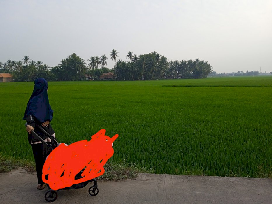 Dijual tanah sawah dekat perumahan sepatan